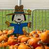 The Pumpkin Patch at Wesley United Methodist Church opened for the season on Sunday at noon. They have a variety of pumpkins and various stations visitors can use for making fall-themed family photos while shopping. The pumpkin patch is open until October 31st, Mondays-Fridays 4pm-8pm, Saturdays 9am-8pm, and Sundays 12pm-8pm. The pumpkin patch is located at the intersection of Major and Folsom Drives in Beaumont. Photo made on October 11, 2020. Fran Ruchalski/The Enterprise