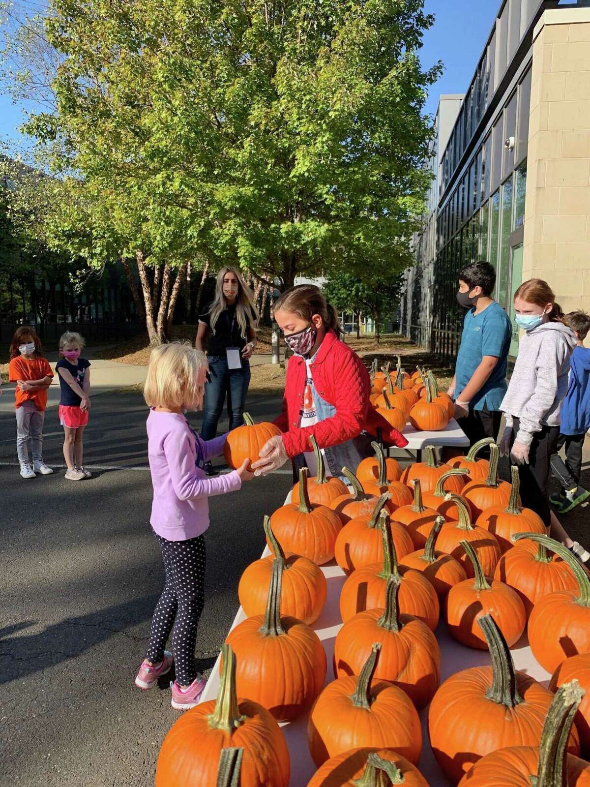 Fall festivals will look much different in Darien this year