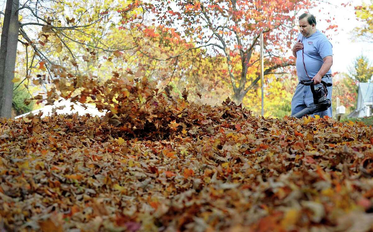 What to know about leaf pickup in Danbury this year