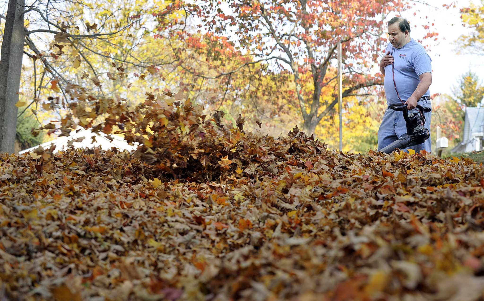 What to know about leaf pickup in Danbury this year