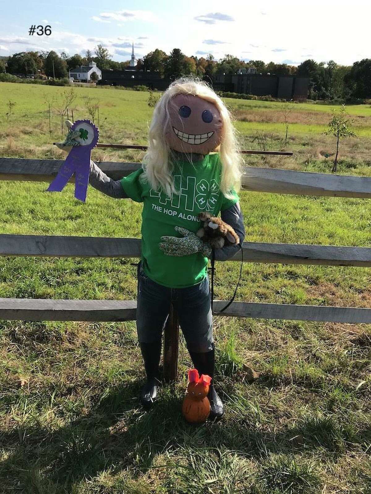 One of the characters inhabiting a fence spot at the Strong Family Farm's 9th Annual Scarecrow Contest.