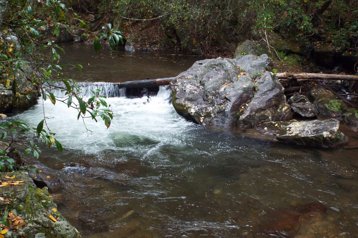 Trout streams reveal the splendor of North