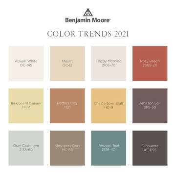 Benjamin Moore’s 2021 Color of the Year brings a sense of calm ...