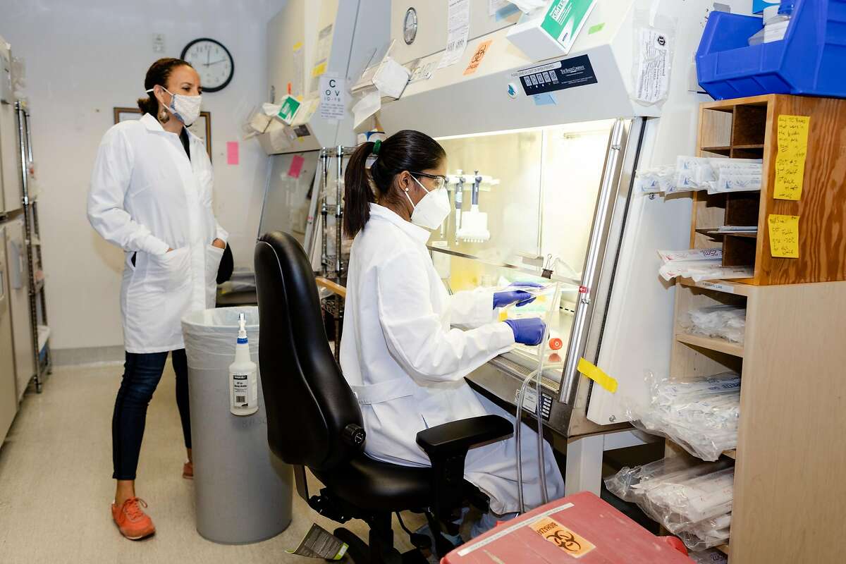 Jacqueline Fabius, Chief Operating Officer at UCSF Quantitative Biosciences Institute, watches while Trupti Patil, an associate specialist at the UCSF Quantitative Bioscience Institute, changes media to grow cells at the Krogan Lab on Tuesday, October 13, 2020, in San Francisco, Calif.