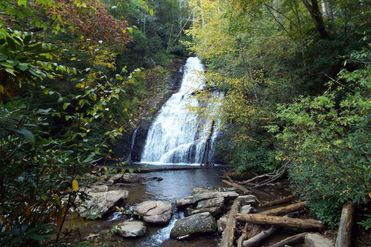 Trout streams reveal the splendor of North