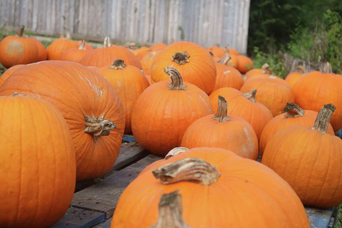 Best Eye Doctors Near Me In Friendswood Tx Get Virtual Care Best Eye Doctors Near Me In Friendswood Tx Get Virtual Care