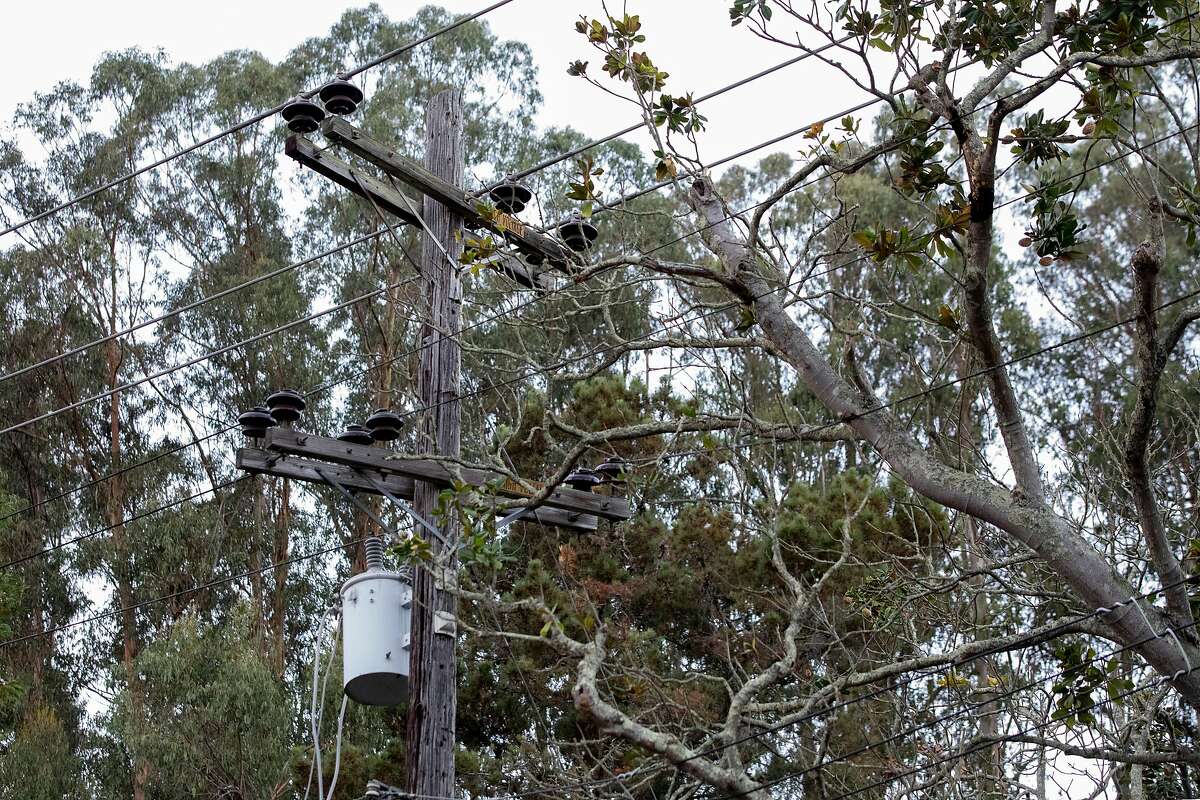 A tree is seen tangled in power lines after it broke during a high wind event in Oakland. A PG&E monitor suggests the companies tree trimming program emphasized numbers over meaningful wildfire risk reduction.