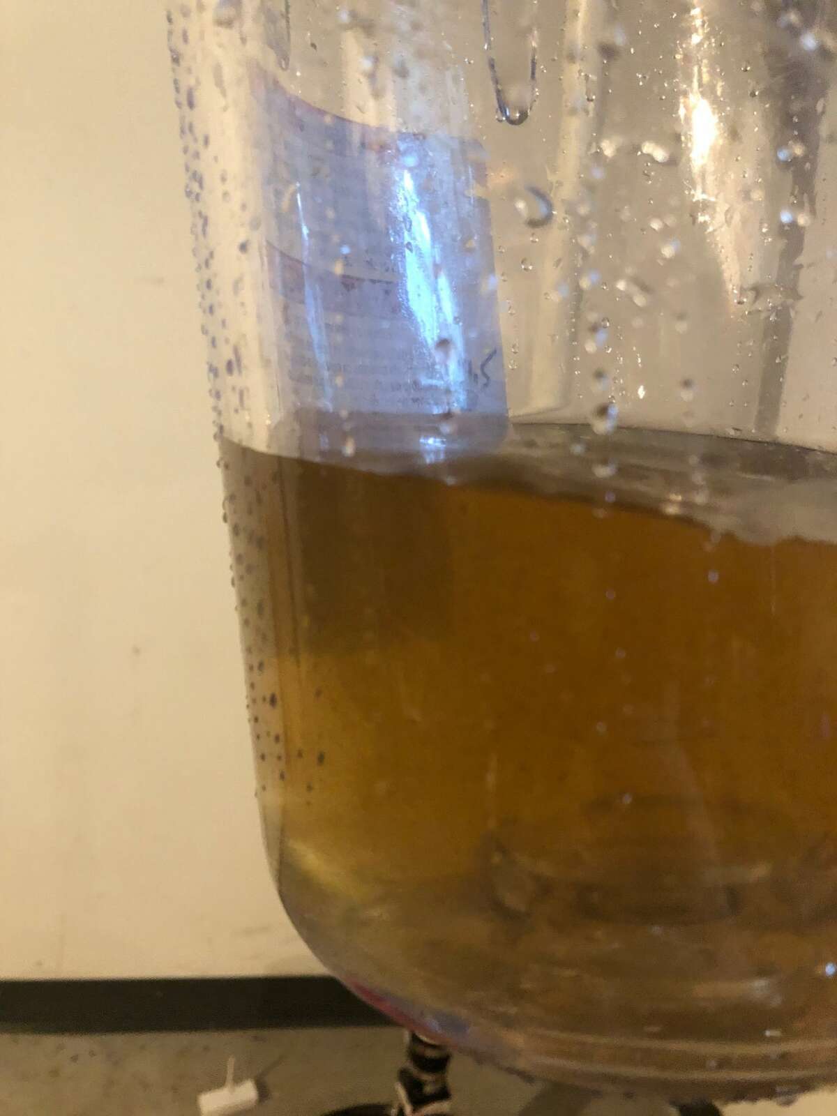 City-supplied water from the tap at a home on Saddle Brook Drive, a development on the eastern plateau of Saratoga Springs, where water tests revealed high lead levels and excessive turbidity. (Provided photo)