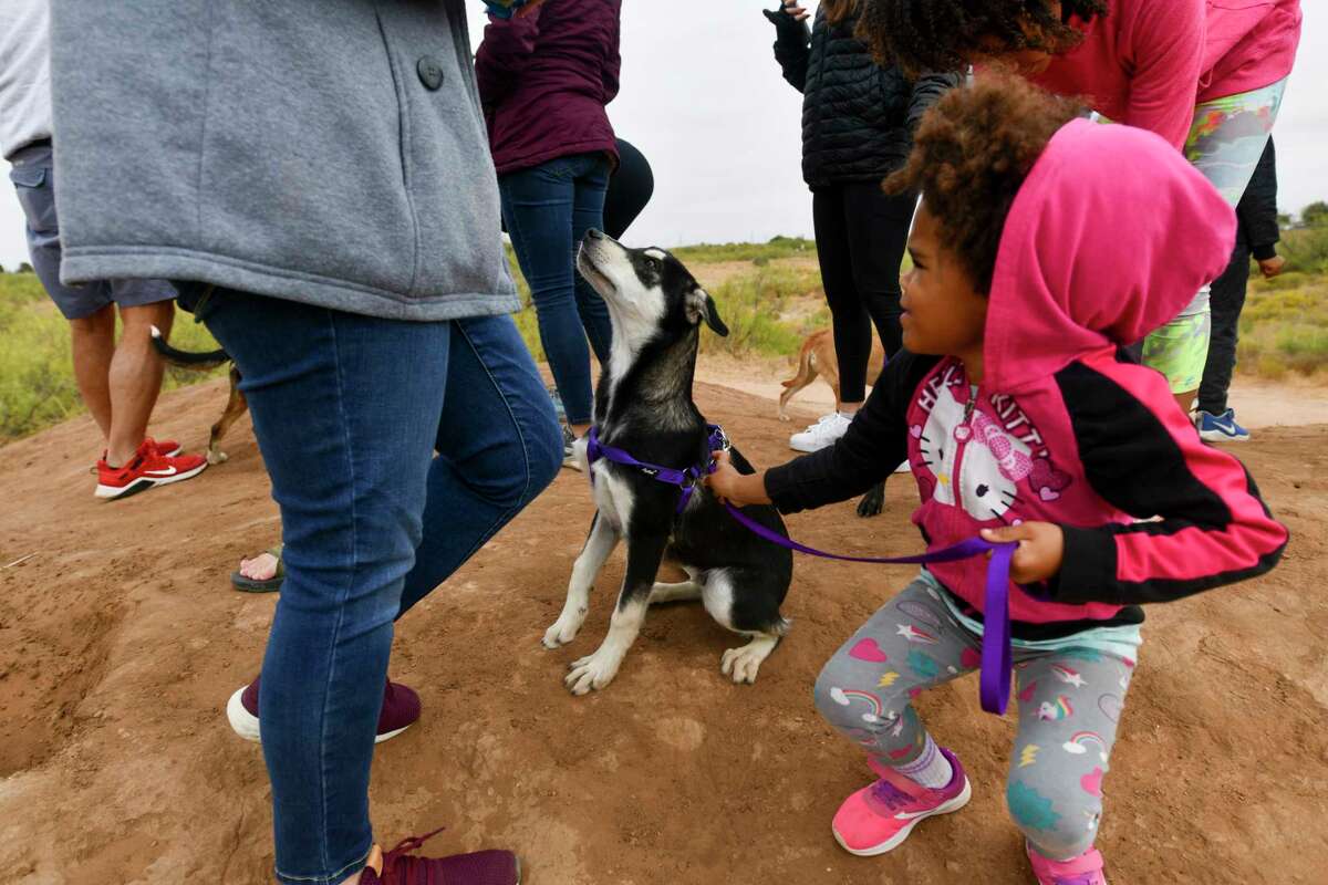 Grand Companions hosted a homeless pet hike Friday, Oct. 23, 2020 in partnership with Sibley Nature Center. Emri King gets ready to continue walking with Jiggs on the Sibley Nature Center trail. Jacy Lewis/Reporter-Telegram