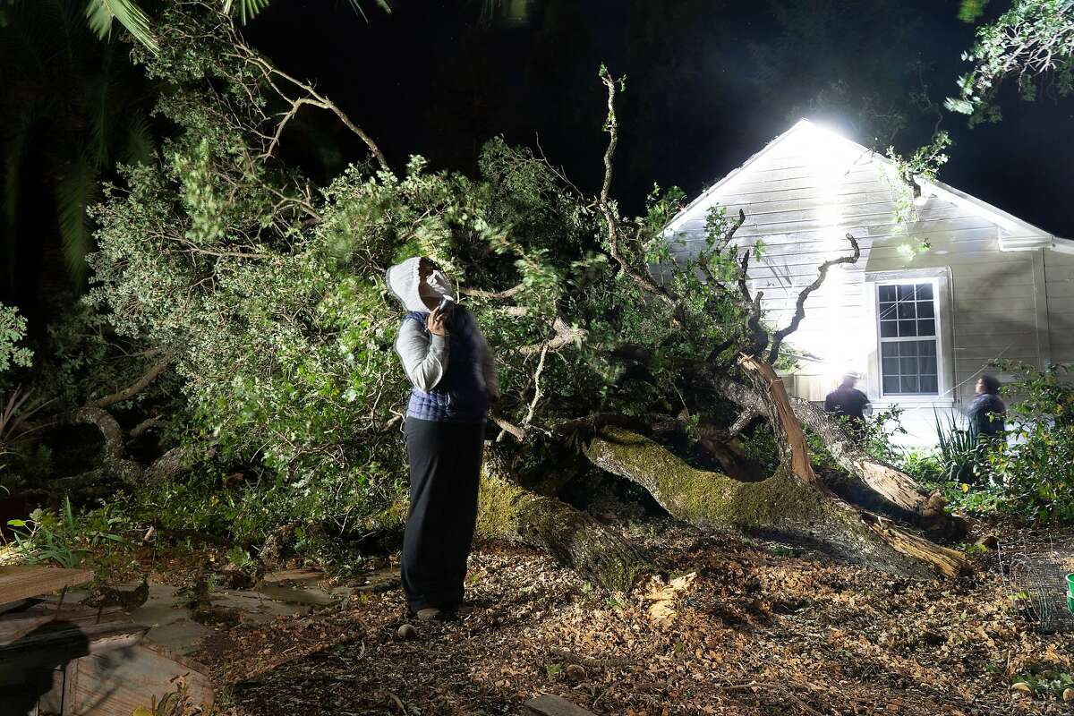 Maggie Beams looks at her mother Bonnie Brown’s oak tree next to windblown branches that fell in Sonoma on Monday. Brown is showing the electrical service box to a PG&E worker who is turning off power the the fallen wires.