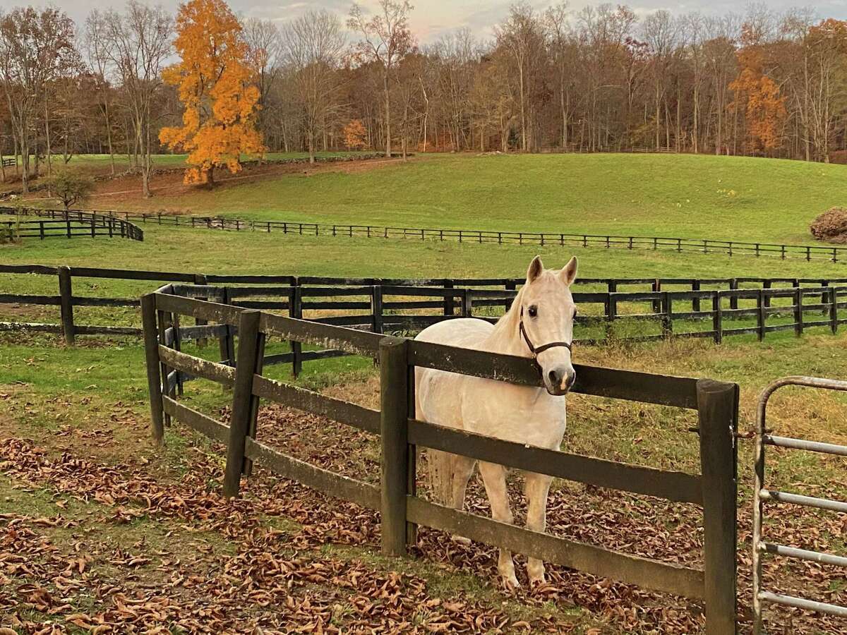 Not all of the leaves have fallen, as evident in this scene photographed on Sabbaday Lane in Washington.