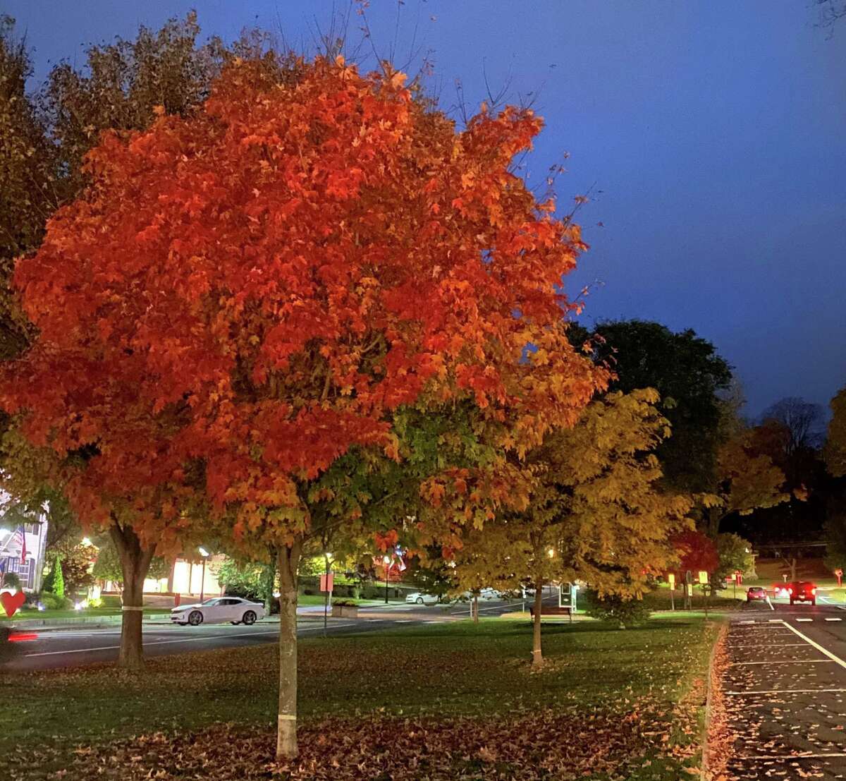 The early evening light and downtown lampposts illuminate the colorful foliage of the trees on the Village Green in New Milford.