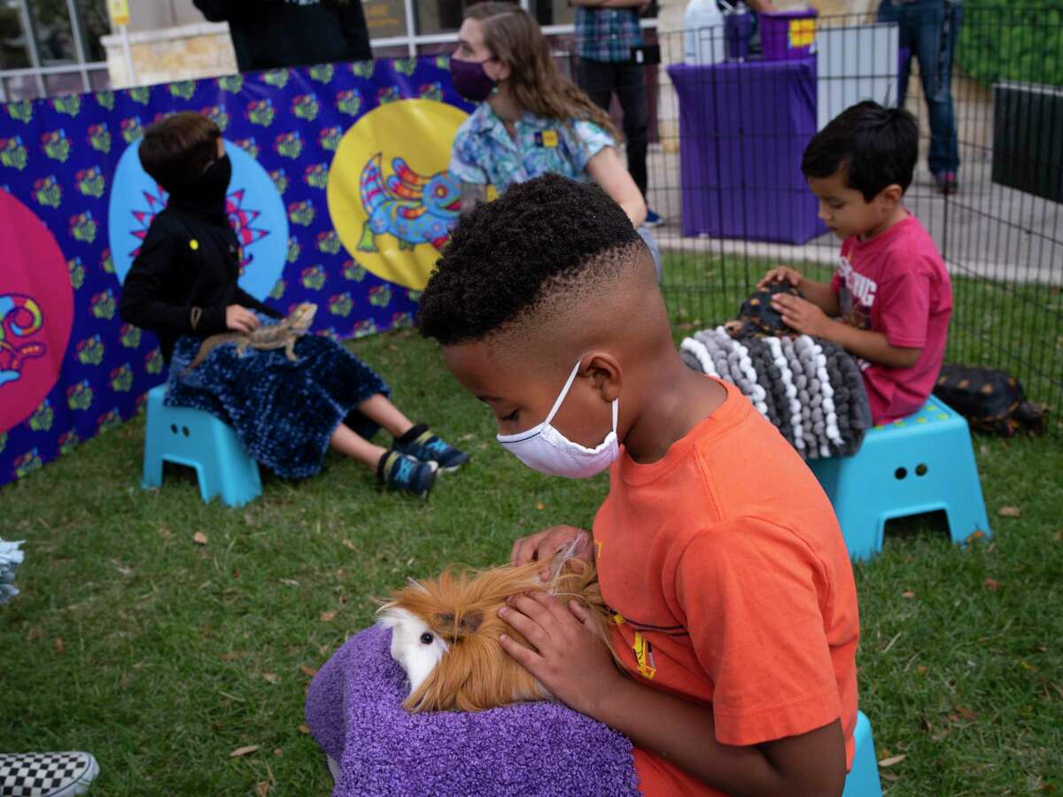 T.J. Thomas, 6, center, pets Iggy Pop, a Peruvian guinea pig during a mobile zoo event hosted by the company Once in a Wild.