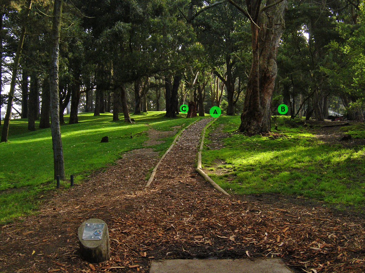 Disc Golf Course Bay Area