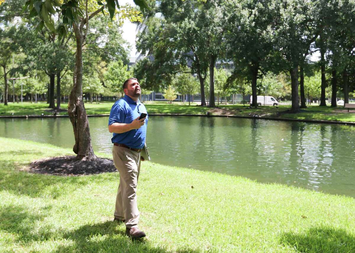Matt Petty of Davey Tree, looks at a pecan tree with fallen branches in Houston in this file photo.