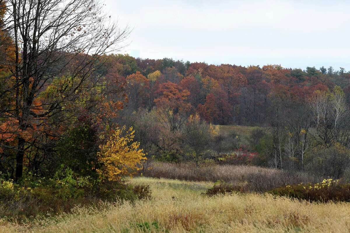 Mohawk Hudson Land Conservancy marks 30 years of protecting nature
