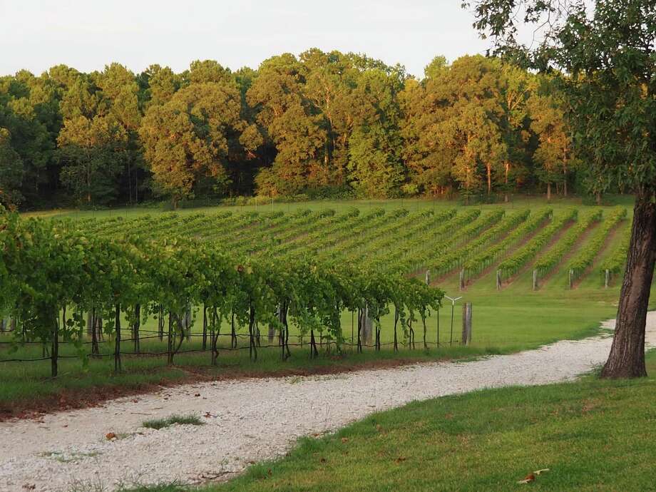 Escape to West Sandy Creek Winery for food, wine and beautiful views The Courier