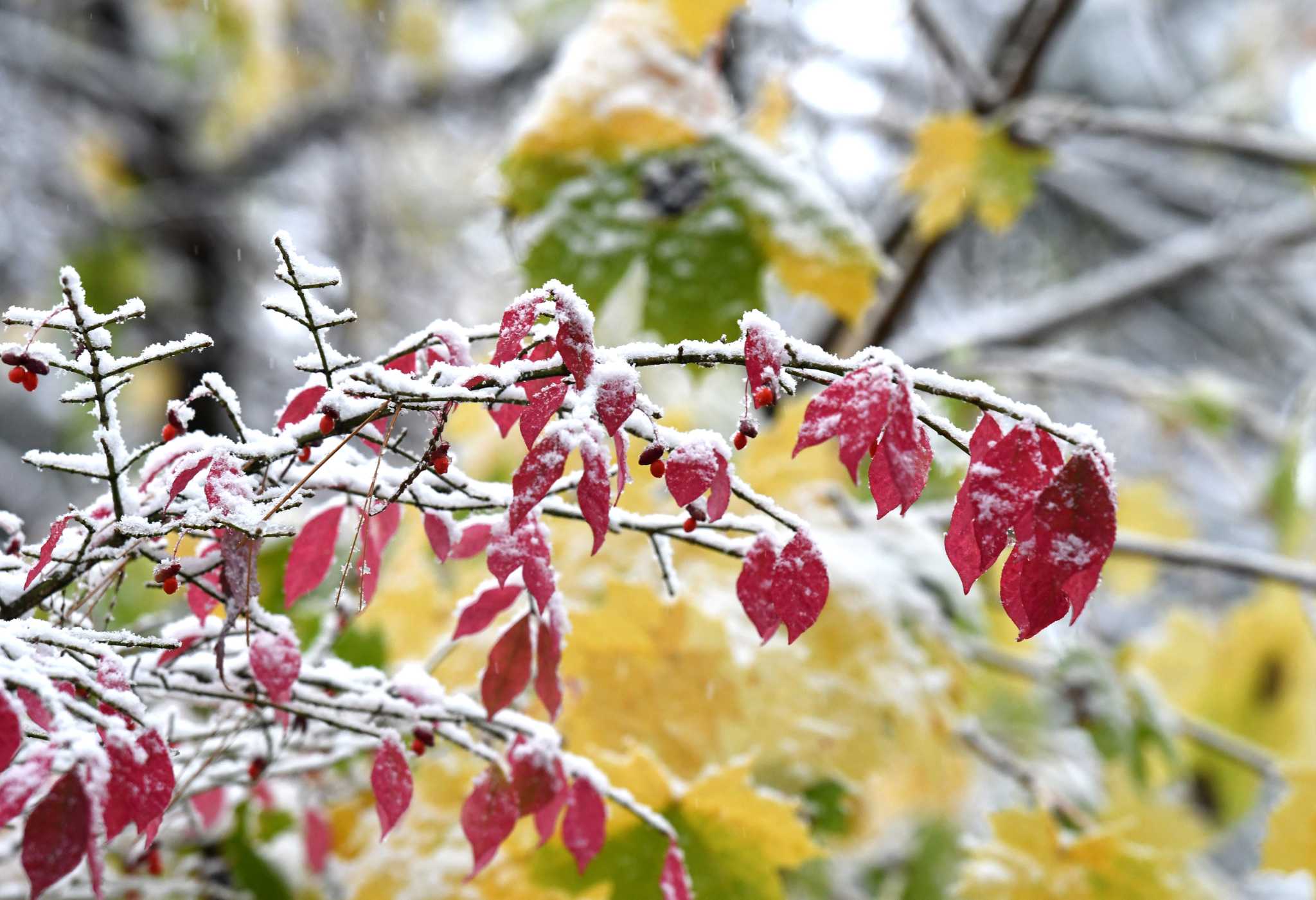 The first snowflakes of fall could fly this week on Adirondack peaks