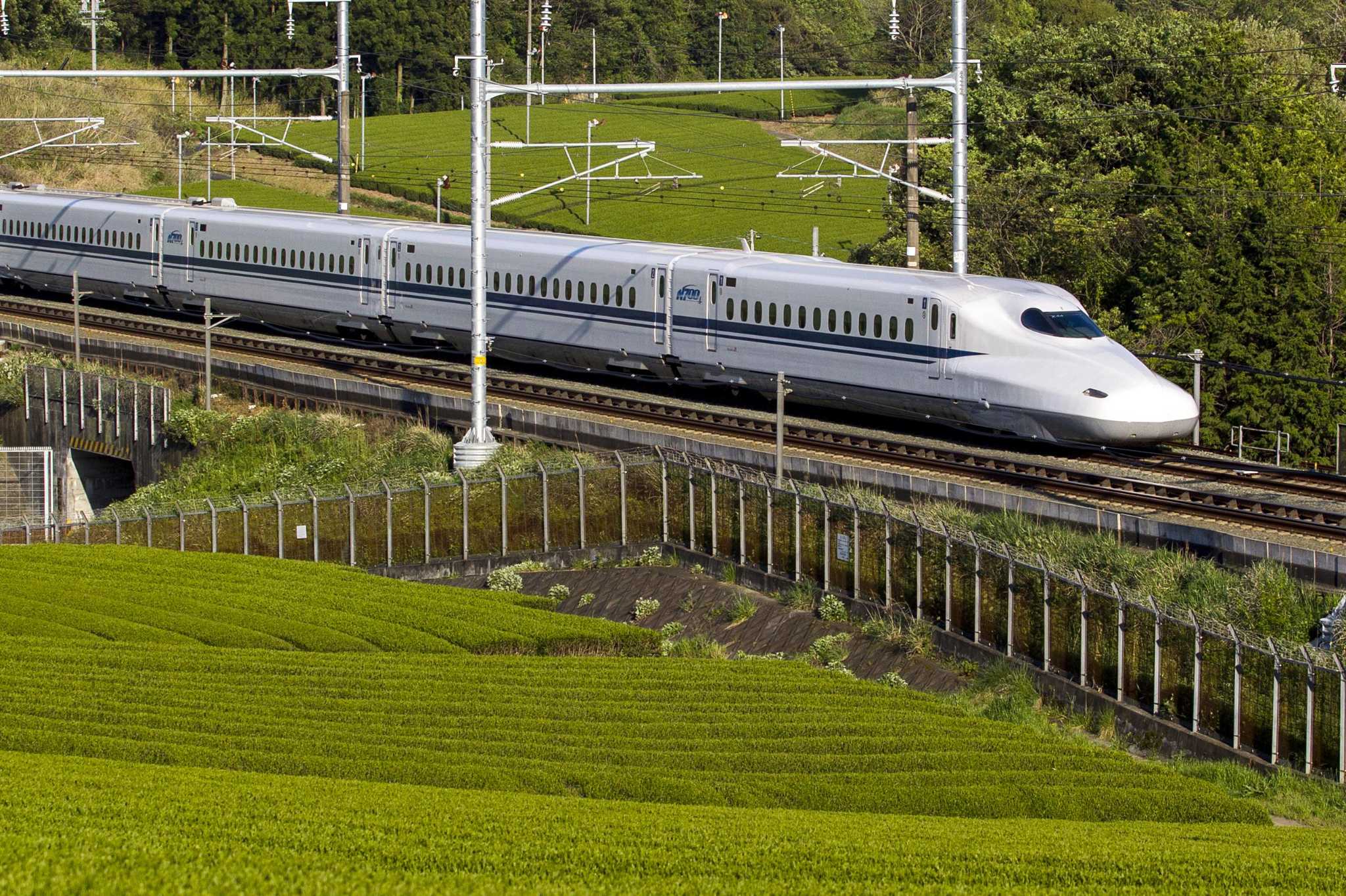 dallas to houston rail line