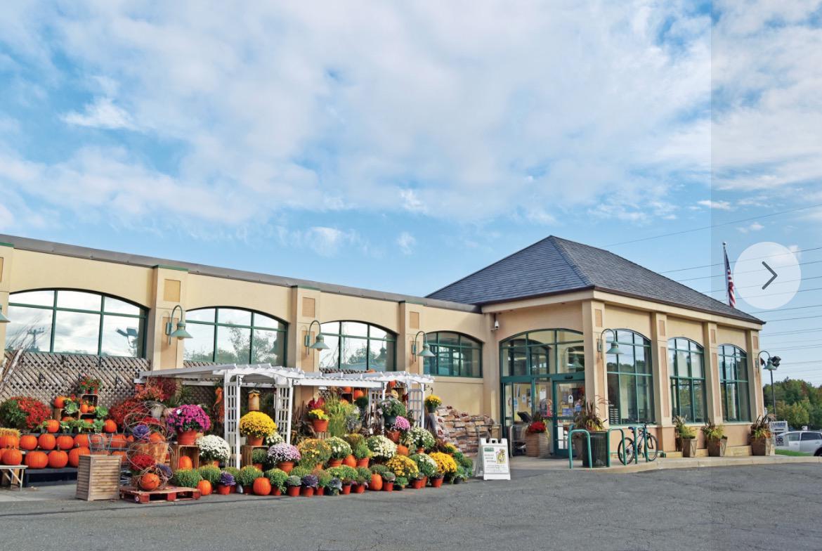 Darien Human Services to host Thanksgiving gift card drive