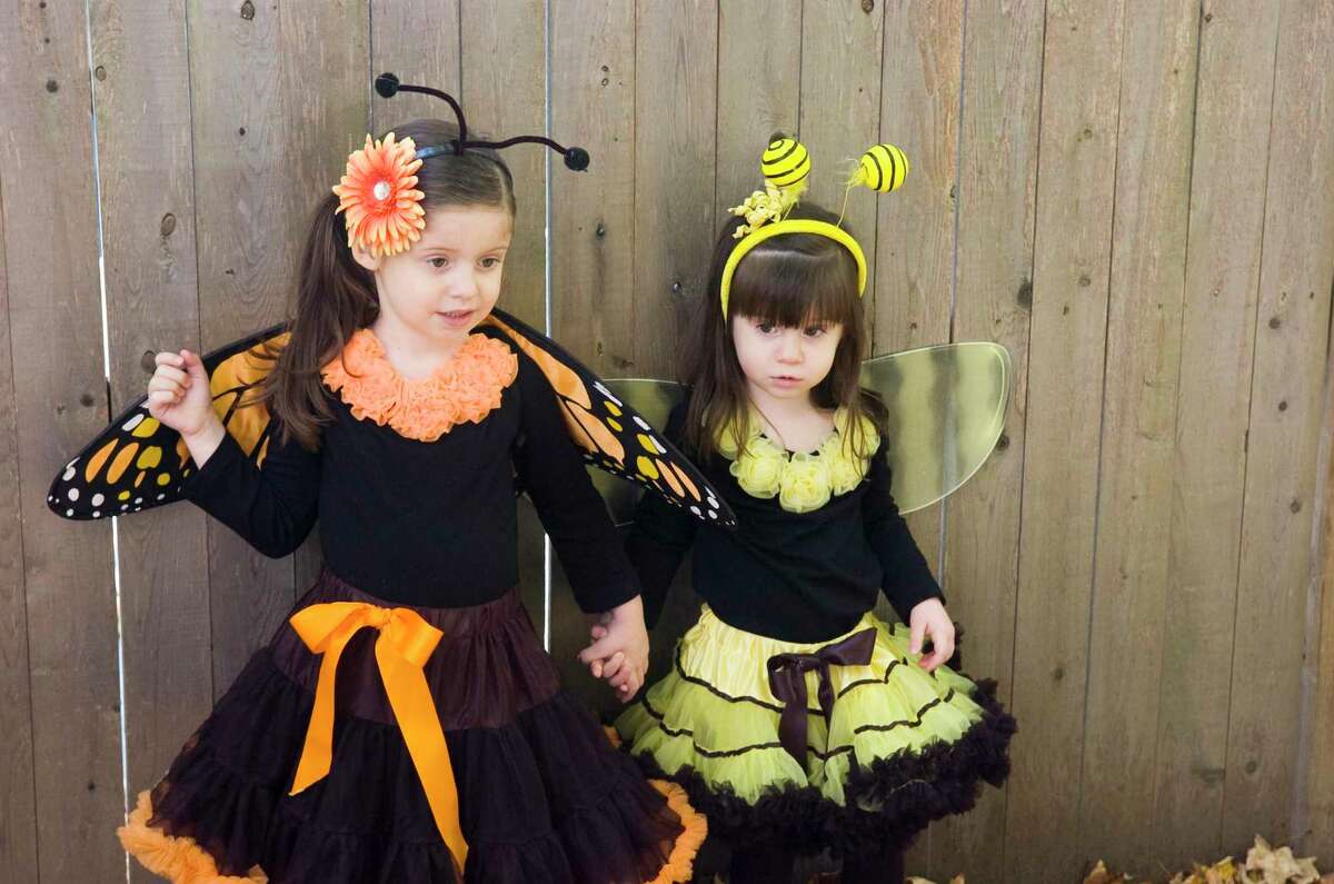 Madison and Morgan Gold display their Halloween wears at the Stamford Museum & Nature Center on Sunday, October 17, 2010. Children and their guardians can find answers to the hunt in multiple spaces throughout the Bruce, in order to keep people spaced out. The pandemic prompted staff to brainstorm some remote activities for the Halloween kits, in order to minimize the amount of time people spend inside the Bruce. “Part of that too is making the craft take home with instructions in the Halloween kits they’ll be getting, so that they can have some time out, get some experience, have some hands on fun in the building while looking at something different,” said Brown. “And then, getting candy.” The Stamford Museum and Nature Center also reimagined some festive fall favorites for the socially distant times. “Our Trick-or-Treat on the Farm is a beloved annual event here at the SM&NC. This year has featured a new take on this traditional favorite,” said Kristin Sinatra, director of external affairs for the Stamford Museum & Nature Center. “Rather than hosting a small number of large sessions, we’ve opted instead to run seven individual sessions each limited to 20 children for a small group experience in this era of social distancing.”