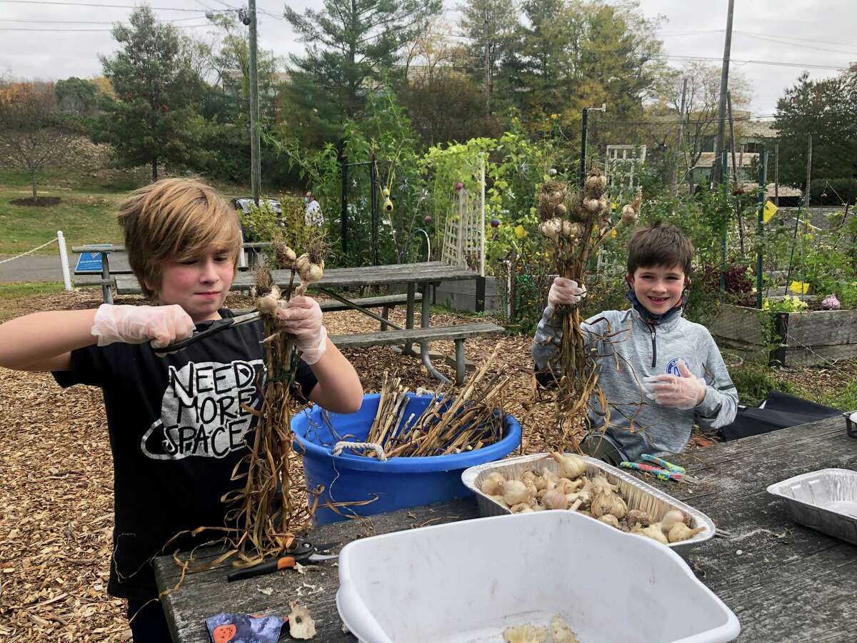 Finn and Barrett Leonard take part in the Wilton Garden Club's Green Teens program, working at the garden at Trackside Teen Center in a previous year. A place for teenagers to go to in Wilton for activities has given the names of four types of programs for its upcoming spring season.