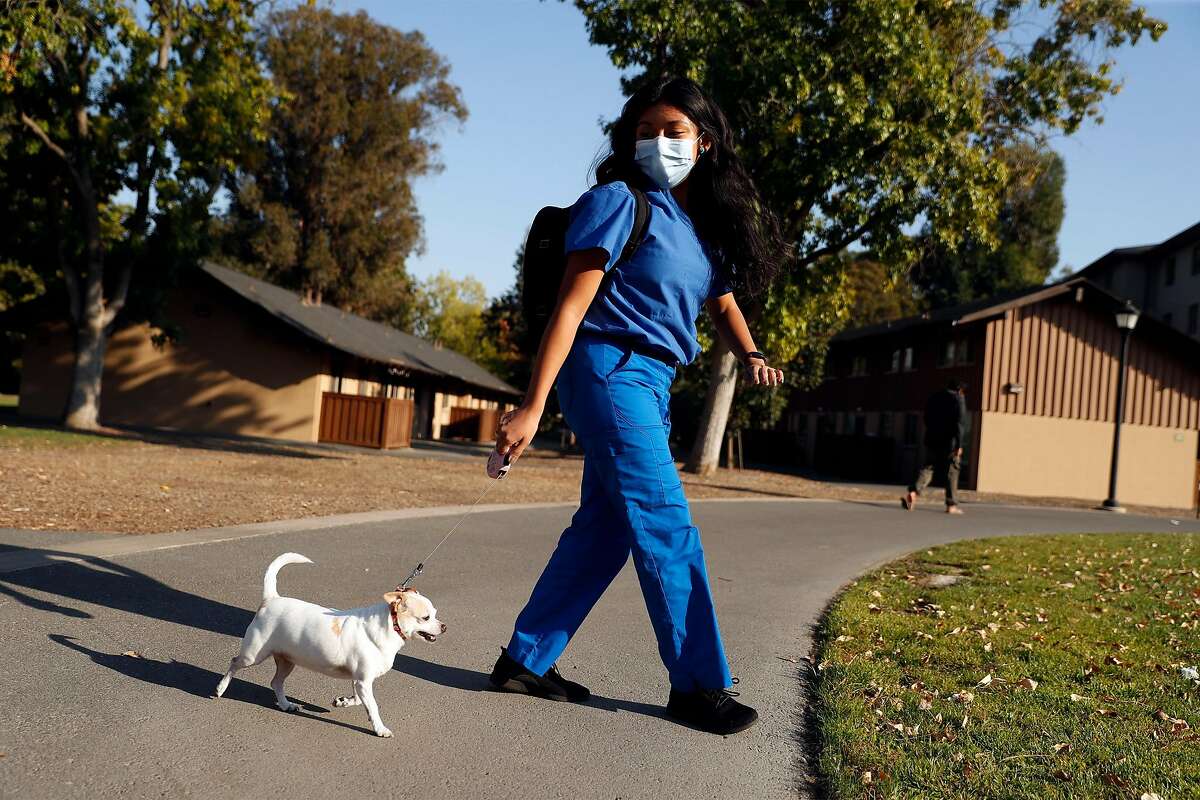 Gianna Nino-Tapias takes her therapy dog, Roxy, on long walks as she traverses the Stanford campus between classes.