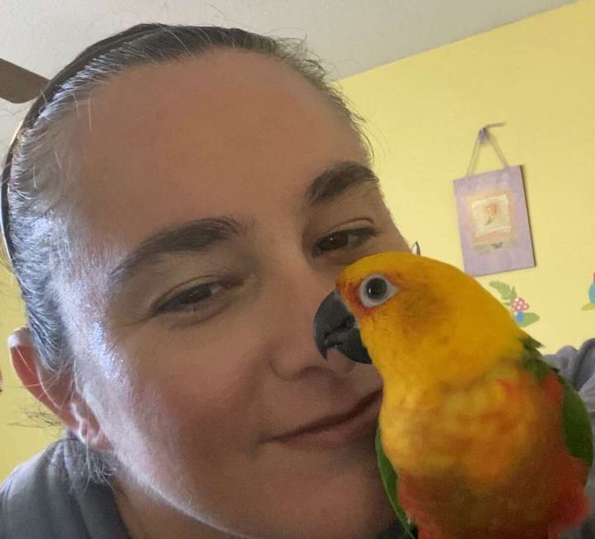 pet supplies plus animals