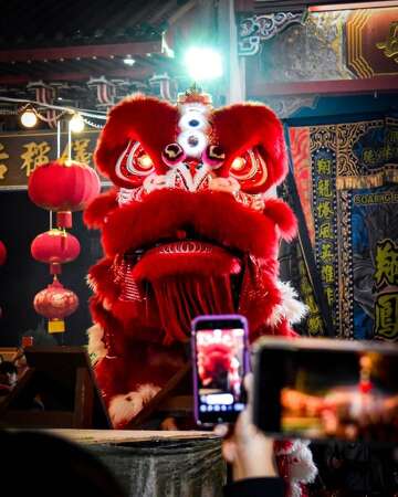Soaring Phoenix Dance Group Prepares For Lunar New Year Performances Houstonchronicle Com