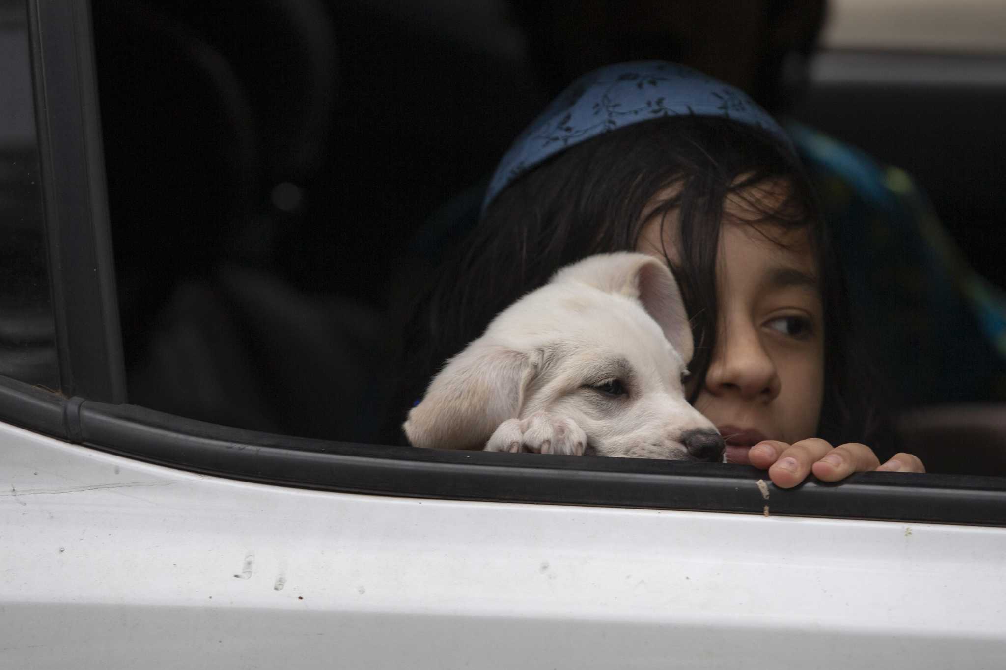 happy tails puppies puppy mill