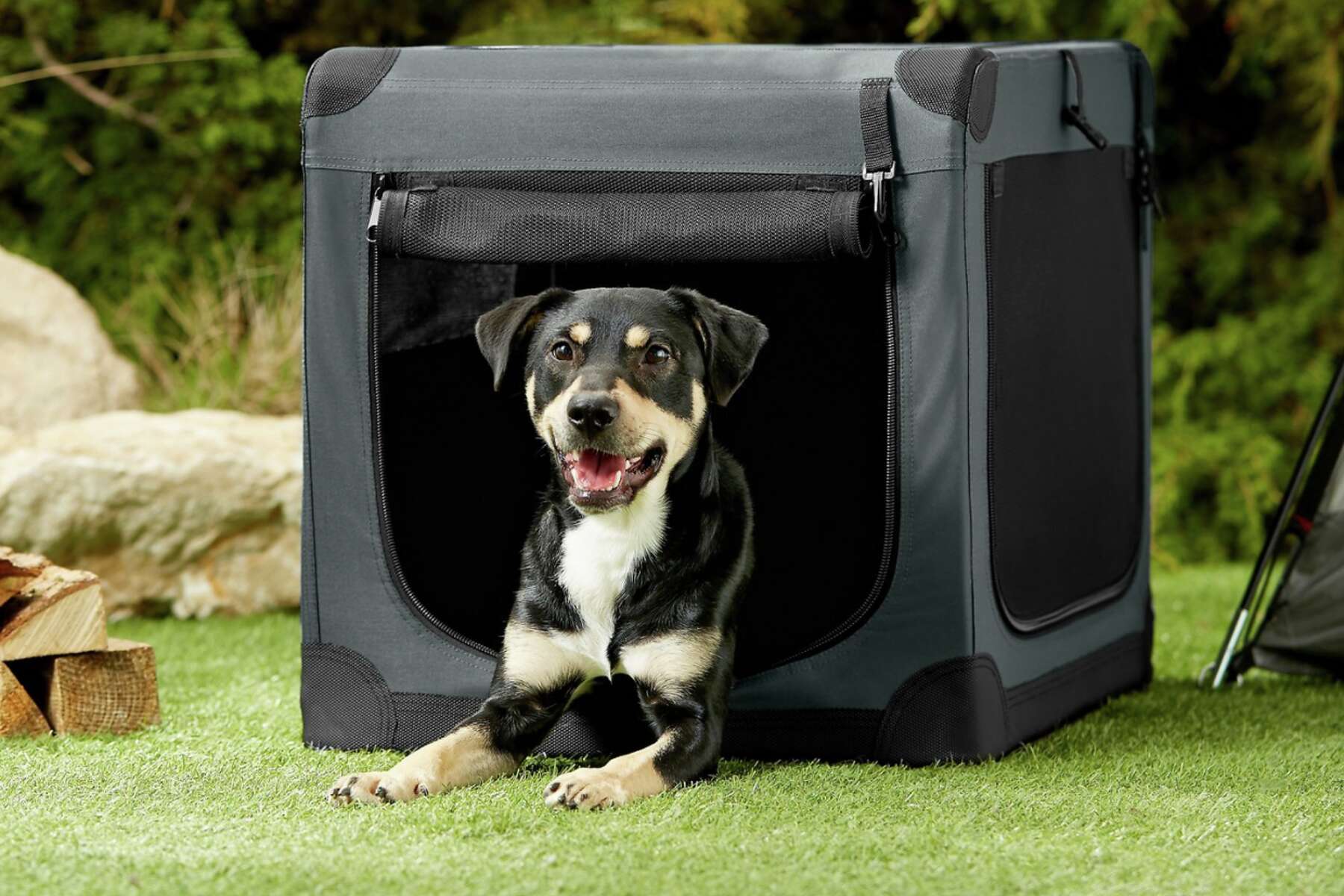 frisco foldable non slip pet steps