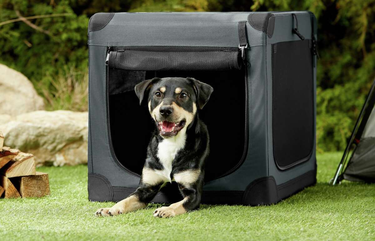 chewy dog beds for crates