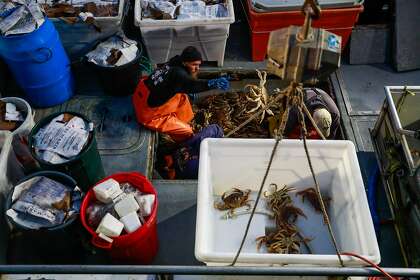 Fisherman Tyler Greene throws Dungeness crab into a container before they are unloaded at Fisherman's Wharf on Pier 45 in San Francisco at the beginning of last year’s season.