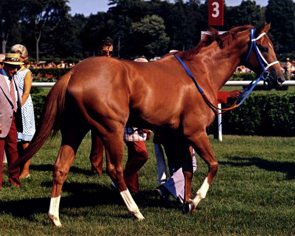 Disney film tells story of legendary Secretariat and his owner