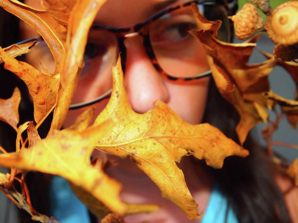The After School Arts Program, which serves Northwestern Connecticut, will hold its 10th annual Celebration of Young Photographers virtually Dec. 6 from 4 to 4:30 p.m. Photographs by 60 students, including Madelyn Lazzara of Berlin High School in Berlin, whose work is shown above, will be featured.