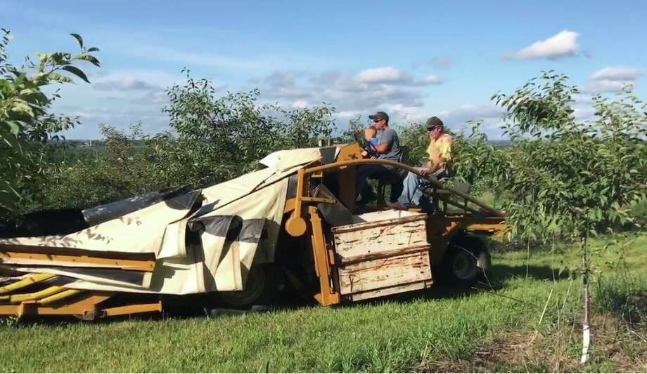 Family members operate a cherry shaker at the Hart-based DeRuiter Farms, Inc. (Michael DeRuiter/Capital News Service photo)