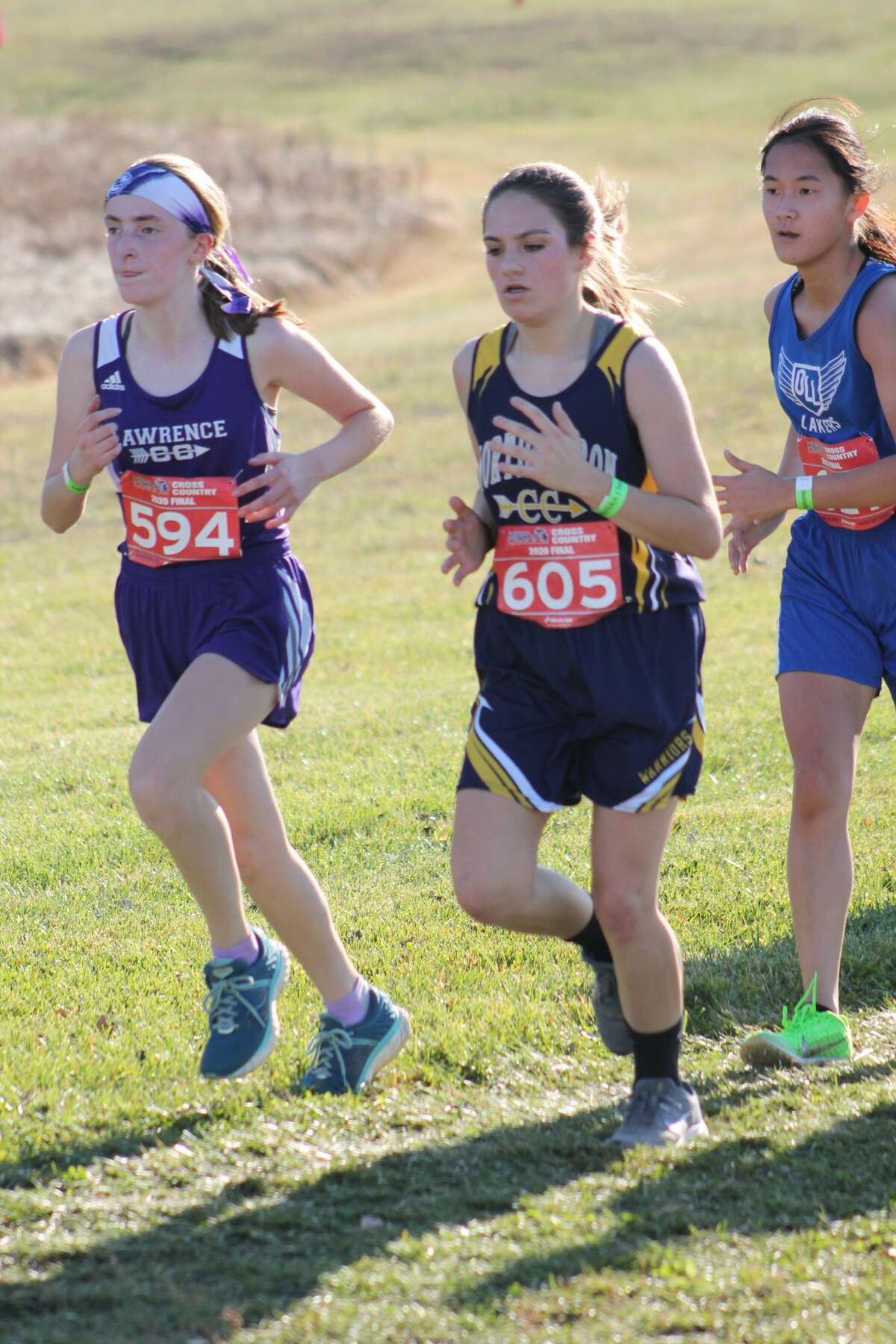 Several runners from across the Upper Thumb competed in Saturday's MHSAA Lower Peninsula 2020 cross country finals.