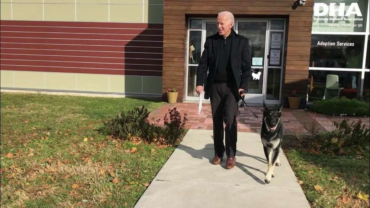 Joe Biden adopted foster dog Major at the Delaware Humane Association in November 2018.