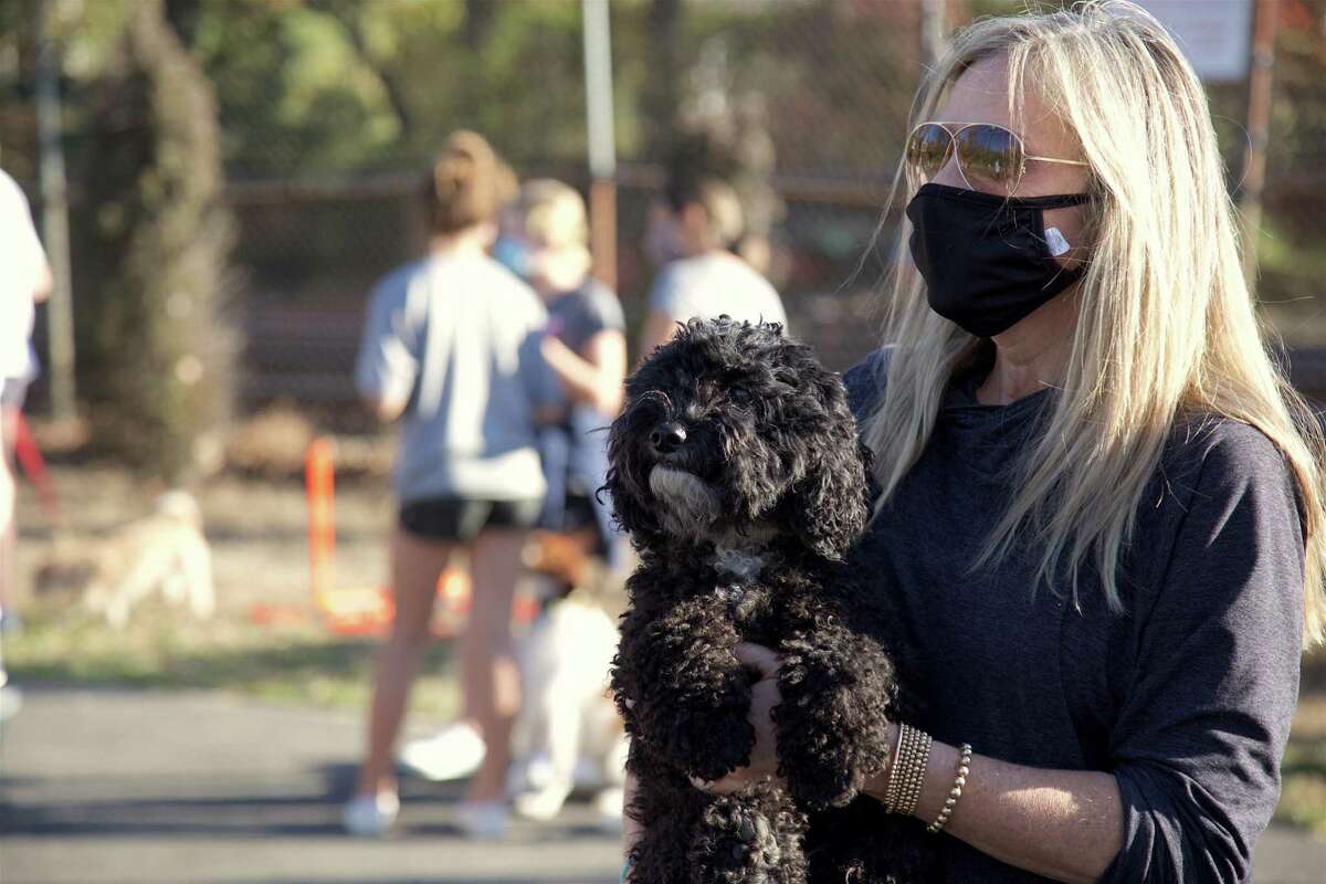 Lisa Koorbusch of Darien and her dog Winnie make the scene at The Darien Depot's Dog Show on Sunday, Nov. 8, 2020. "We thought a dog show would be really cool and appealing to a lot of families in Darien," said Sophie Curtis, 14, who served as one of the judges. "I think people like dogs because they're a great addition to a family," she said, noting their therapeutic quality. Pandemic restrictions encouraged the group to keep enrollment to the first 20 dogs, which not only competed but spend the bulk of their time socializing with new dog friends and enjoying a sunny afternoon. "I just think it's cool, especially during this time, to run an event like this for the community," said volunteer Colby Dineen, 16. "It's a great way to bring people together and to meet new people-socially distant, of course," she said. Other local businesses that contributed to the event included Dog Gone Smart, Fish Bowl Pet Shop, The Pawprint Market, Pet Pantry Warehouse and Pet Valu.