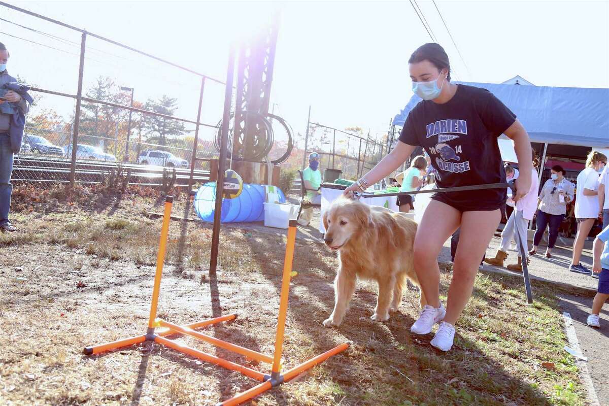 Katie Lehna of Darien runs her dog Sherman through the obstacle course to test his agility a the Darien Depot Youth Center's first ever dog show on Sunday, Nov. 8.