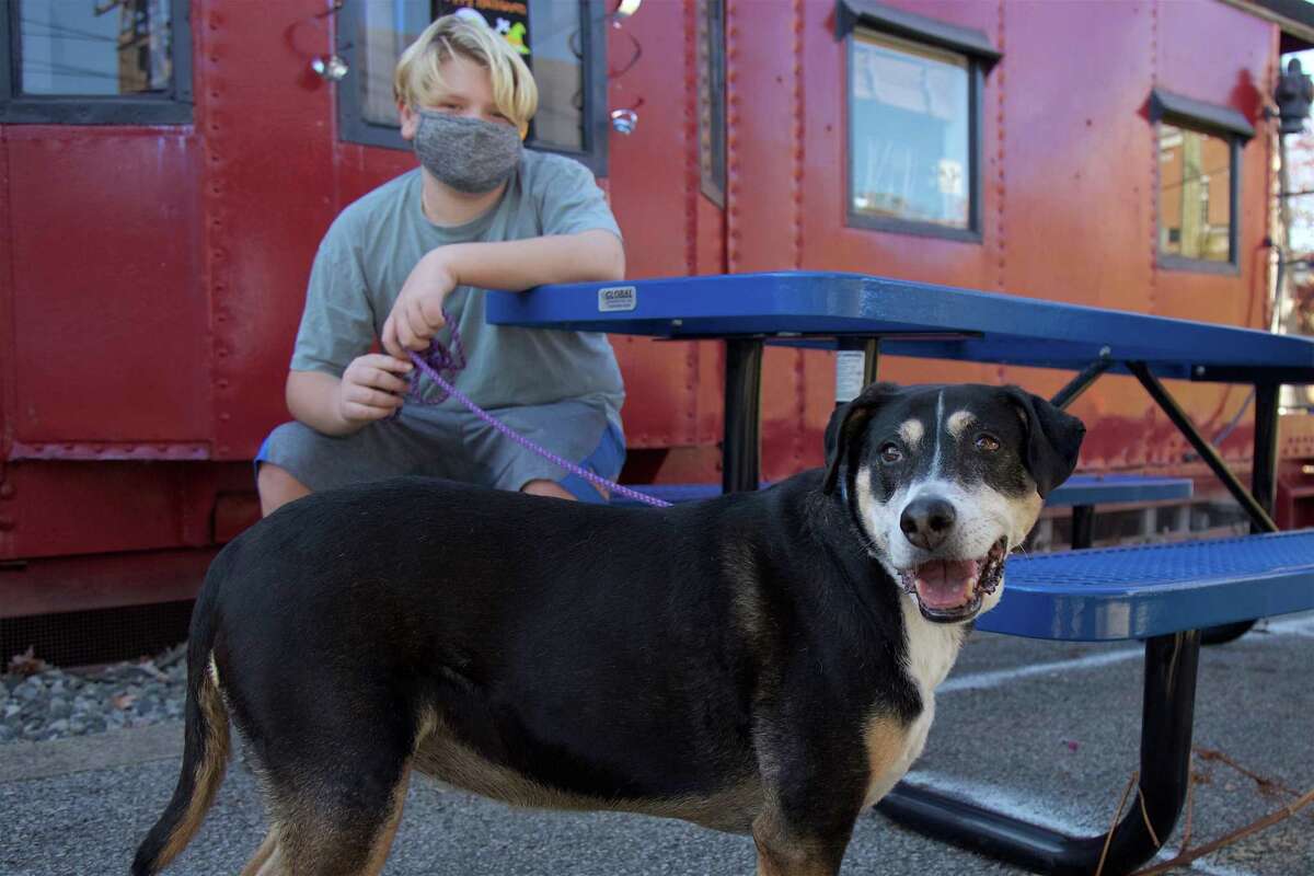 The Depot, Darien's Youth Center, held its first ever dog show on Sunday, Nov. 8. Preston Carnes, 12, of Darien, and his dog Josie enjoy a moment together.