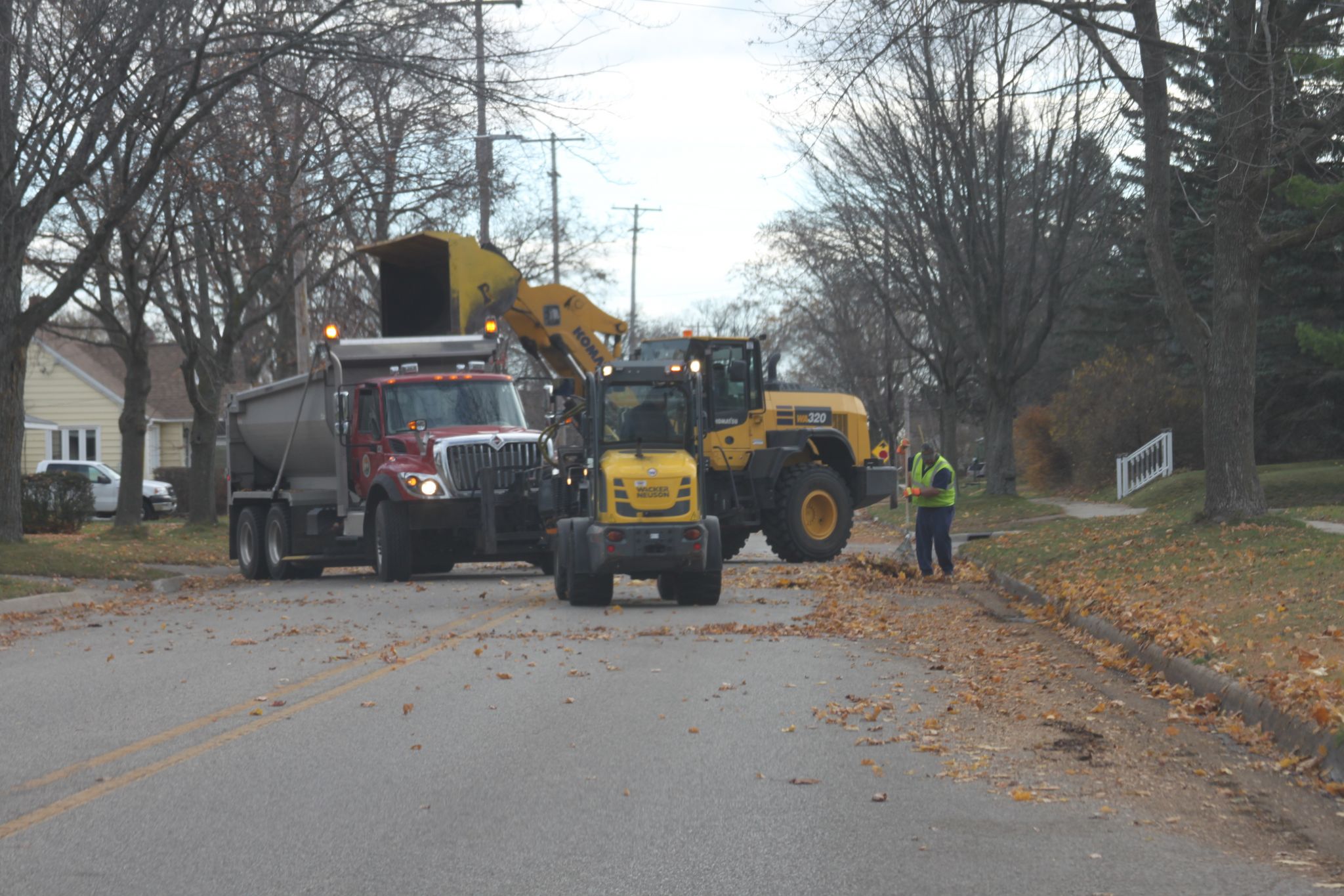 Photos City leaf pickup begins