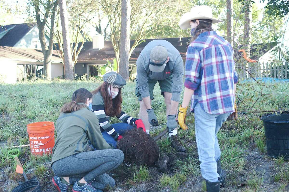 Scouts BSA Troop 596 members Ann Baumann, Katie Getteau, Chris Getteau and Samantha Reeve prepare to plant a tree during a recent Exploration Green planting event. Wetlands plantings sessions are scheduled this month and in December.