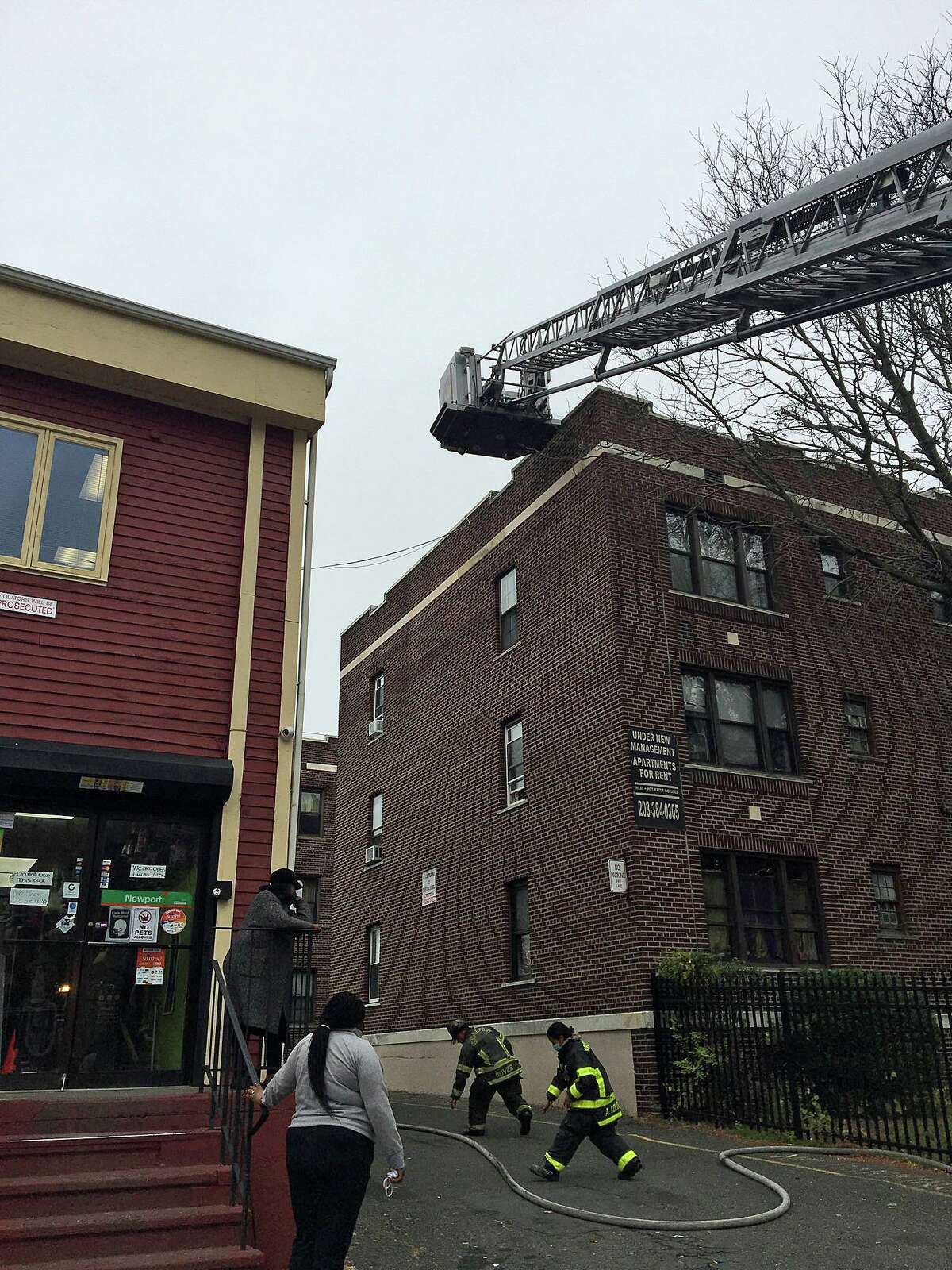 FD Two cats killed, 1 rescued in hoarded Bridgeport apartment