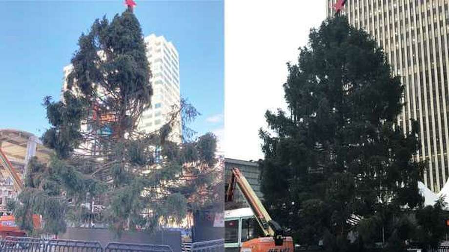 2020 A Christmas Tree Grows In Colorado