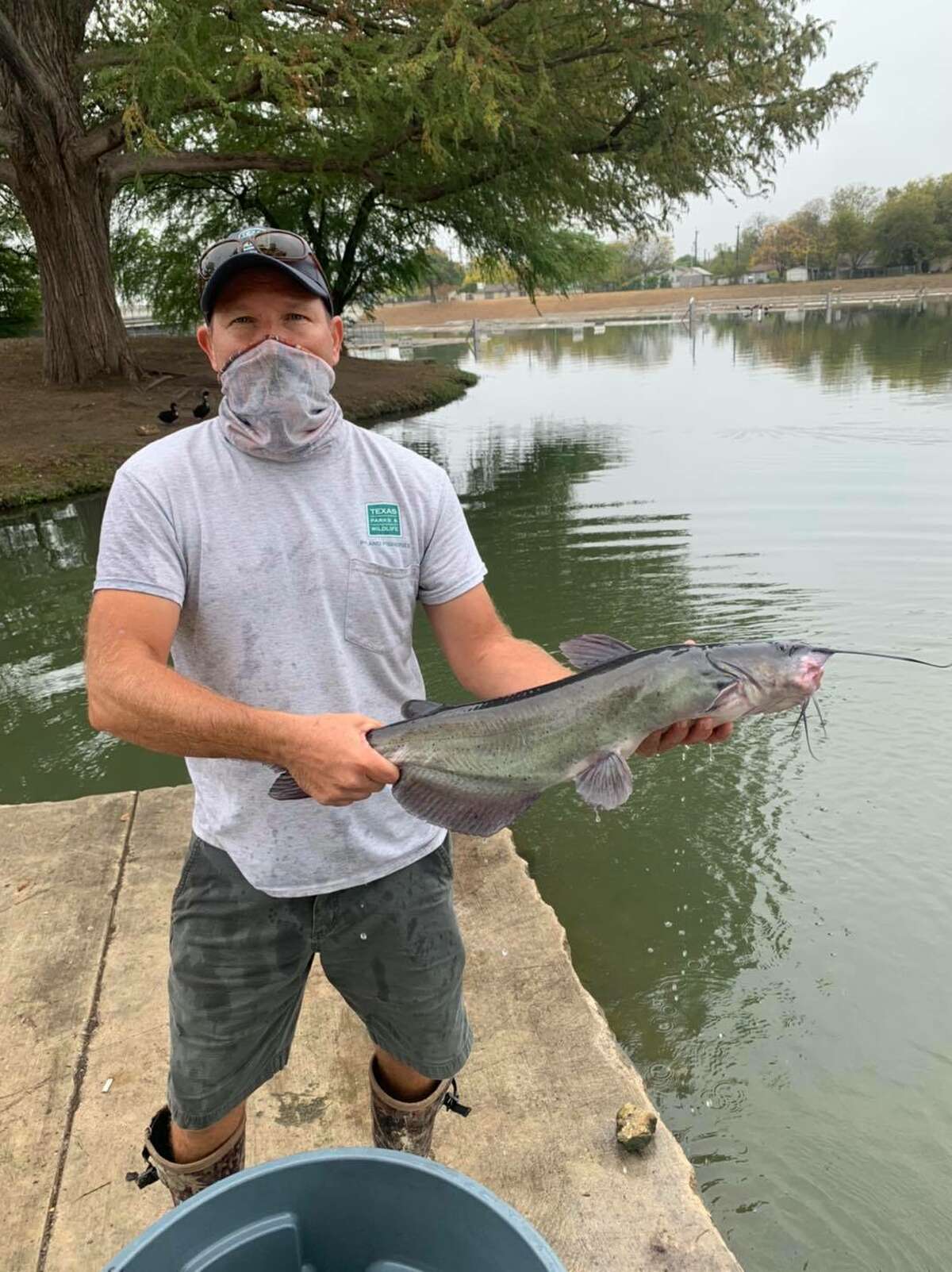 On Tuesday, Texas Parks and Wildlife officials stocked Elmendorf Lake with 50 trophy-sized catfish, according to a Facebook post from Inland Fisheries San Antonio District.
