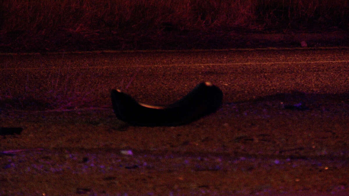 A 48-year-old man is in critical condition after crashing his motorcycle in an attempt to avoid hitting a dead dog on a U.S. 90 access road on the West Side, San Antonio police said.