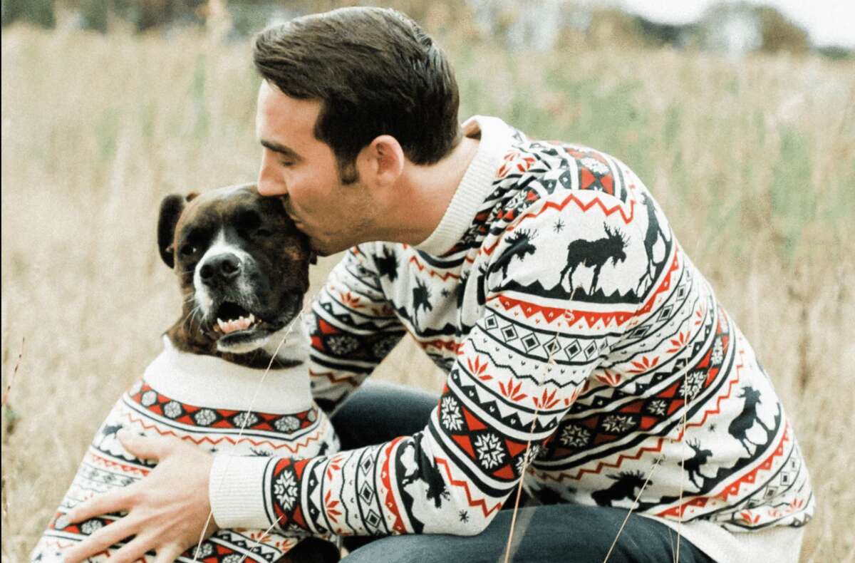 great dog products