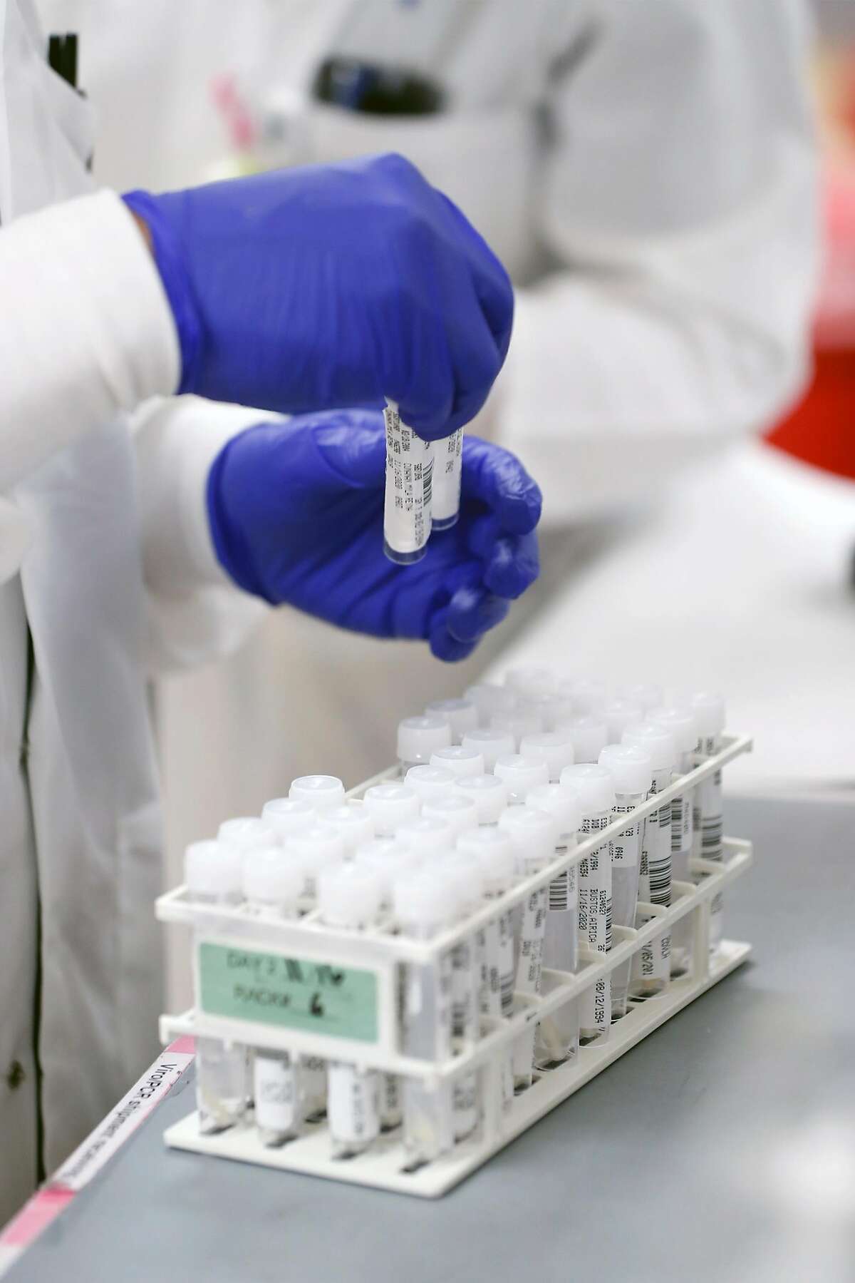 Lab technician Jason Tran processes coronavirus test samples at UCSF Microbiology Laboratory at China Basin in San Francisco.