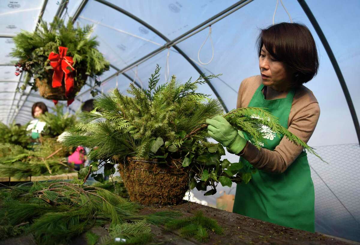 Mie Uemura assembles a festive holiday basket at Sam Bridge Nursery in Greenwich, Conn. Thursday, Nov. 21, 2019. More than 50 volunteers from the Greenwich Japanese School and Greenwich High School worked with Greenwich Greenwich and Clean to assemble 116 festive holiday arrangements.